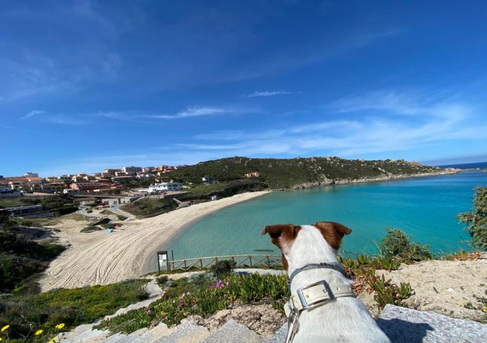 🌞 RÉSERVÉ À CEUX QUI AIMENT VIVRE LEURS VACANCES EN JUILLET ! 