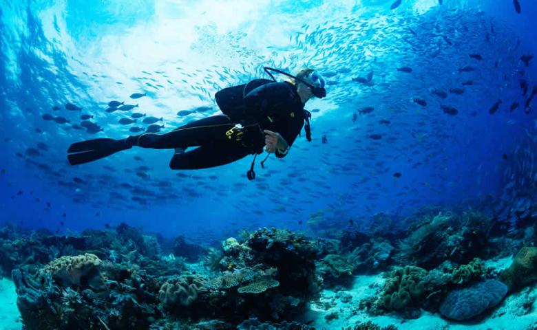 hotellacontessa it escursioni-diving 024